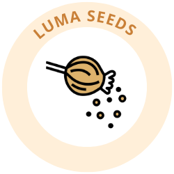 Lumaseeds.com Reviews – Scam or Legit? Find Out!