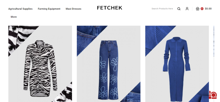 Fetchek Reviews: Is it Worth Your Money? Find Out