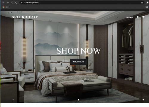 Splendorty Online Review: What You Need to Know Before You Shop