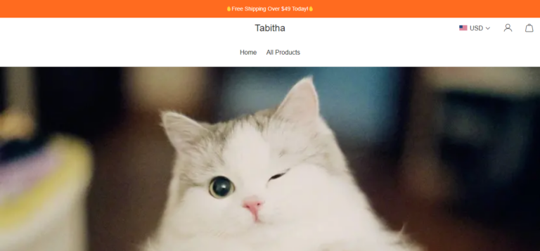 Tabitha Review: What You Need to Know Before You Shop
