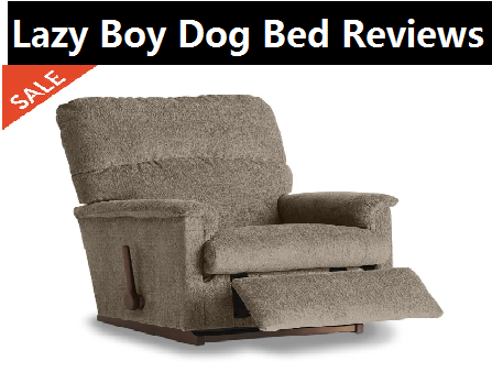 Lazy Boy Dog Bed Review: Lazy Boy Dog Bed Scam or Legit?