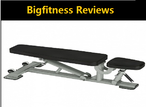 Bigfitness Review: Bigfitness Scam or Legit?
