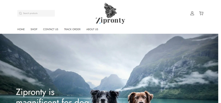 Zipronty Review Is Zipronty a Legit?