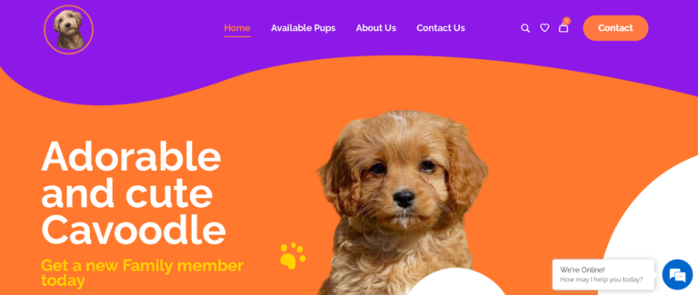 Adorablecavoodle Review: Is it Worth Your Money? Find Out