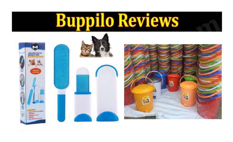 buppilo Review Is buppilo a Legit?