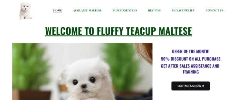 Fluffyteacupmaltese Review: Is it Worth Your Money? Find Out