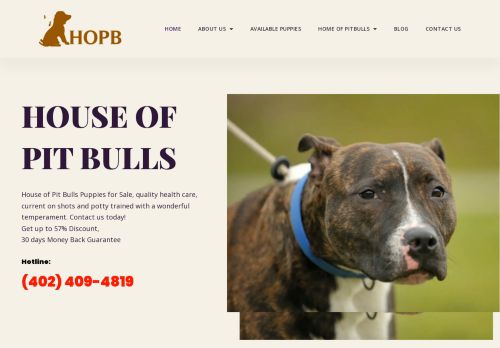 Homeofpitbullies.com Review: Is it Worth Your Money? Find Out
