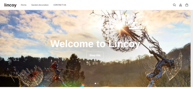 Lincoy Reviews: What You Need to Know Before You Shop