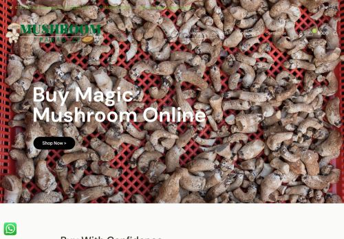 Mushroomparadize.com review legit or scam