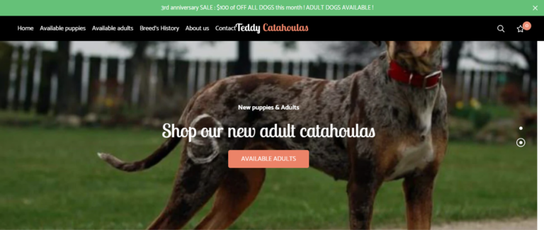 Teddycatahoulasdog Review: Buyers Beware!