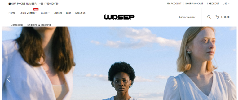 wdsep Review – Scam or Legit? Find Out!
